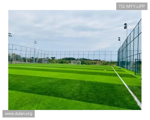 球会体育中心的环保措施与绿色运动理念推广实践经验分享